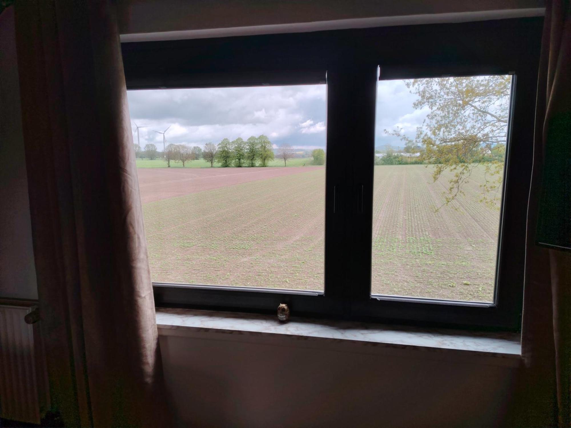 Brini'S Ferienwohnung Im Gruenen Lage  Exteriör bild
